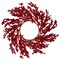 Northlight 22&#x22; Festive Red Berries Artificial Christmas Wreath - Unlit